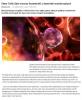 Stem Cells Spin tworzy kosmetyki z komórek macierzystych (gielda.newsy24-7.info)